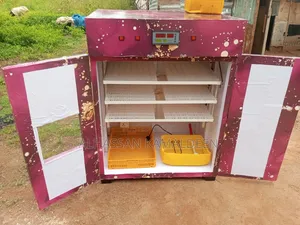Eggs Incubator