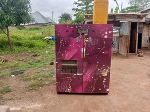 Eggs Incubator