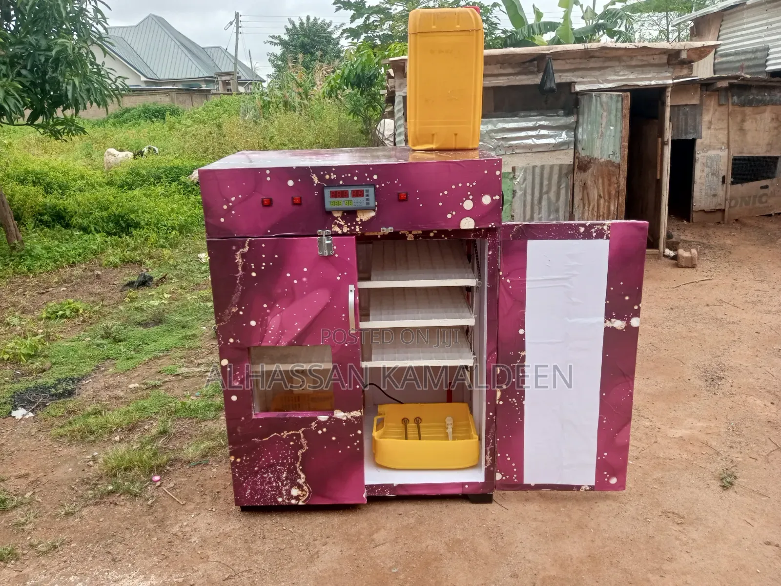 Eggs Incubator