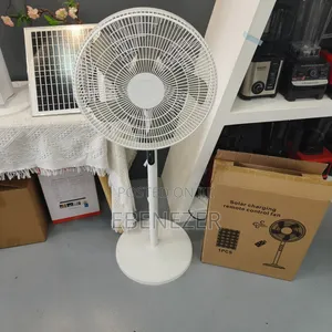 Standing Solar Fan