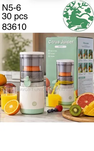 Mini Juicer