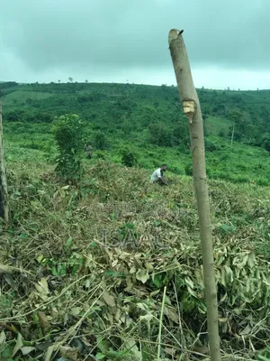 Residential Land for Sale Near Aqua Safari Valley at Adukurom