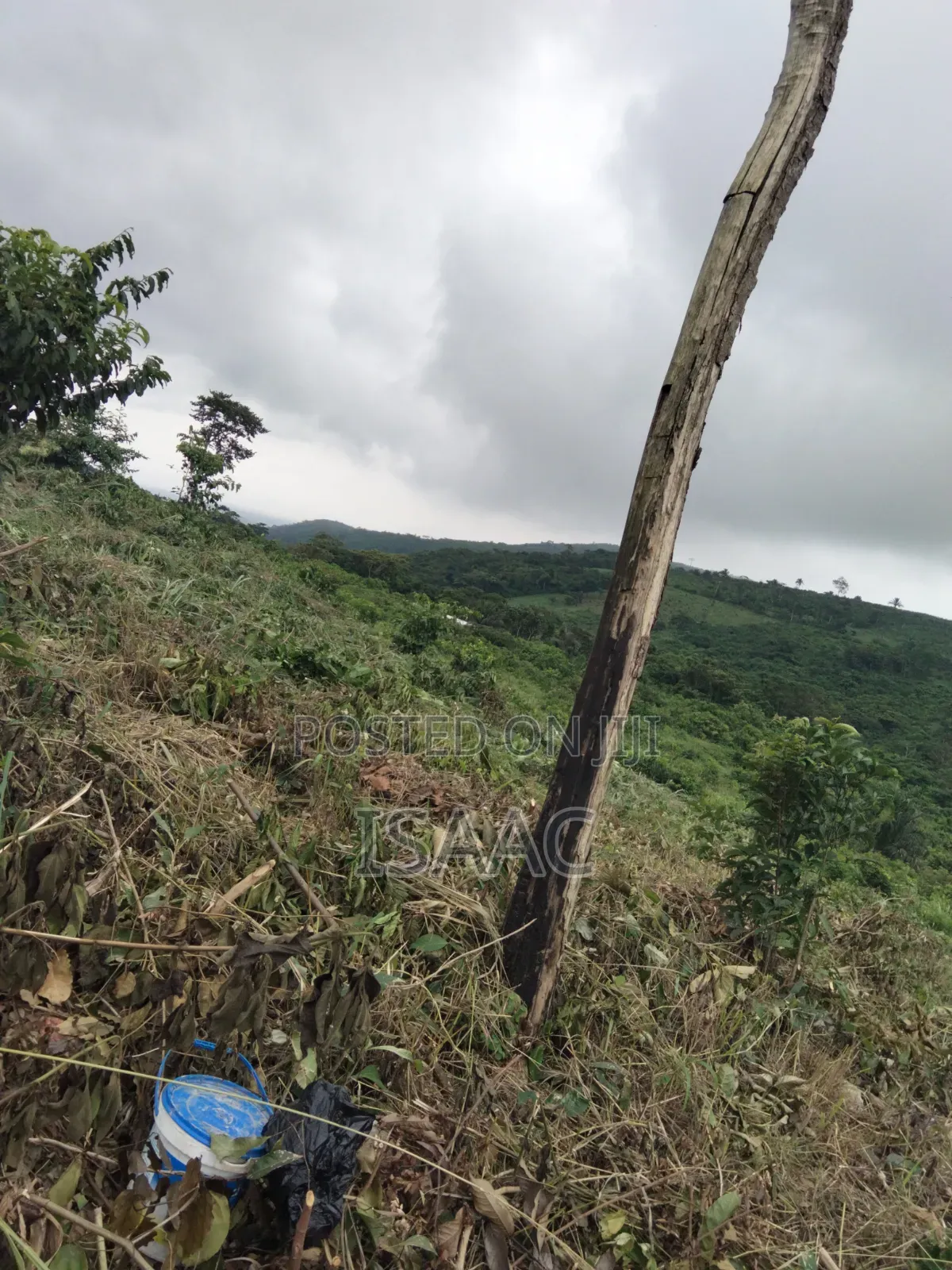 Residential Land for Sale Near Aqua Safari Valley at Adukurom
