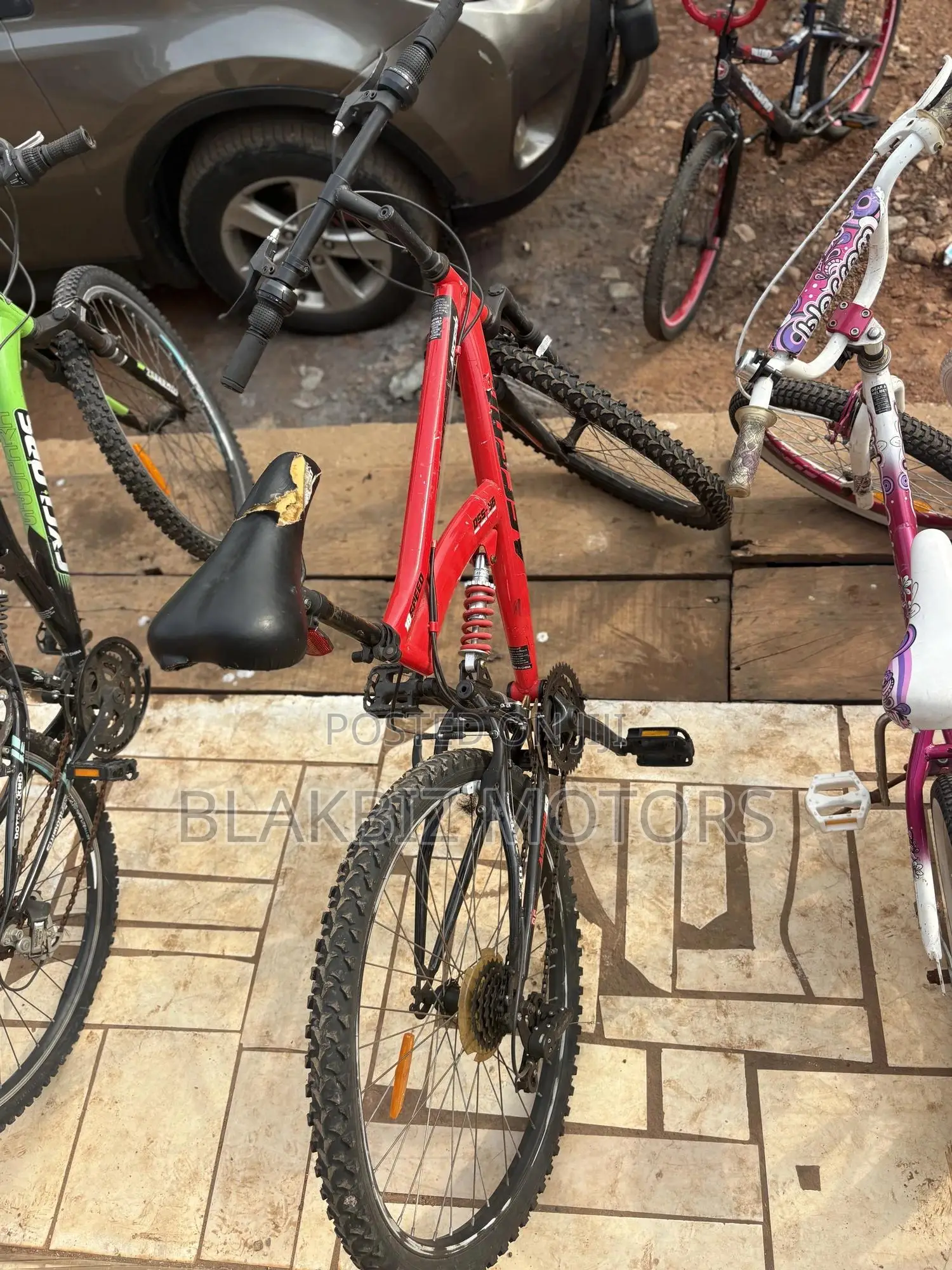 Adult Bicycle