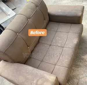 Sofa or Couch Cleaning Services