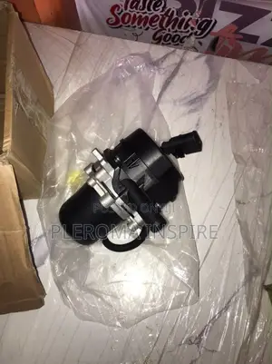 Air Injection Pump