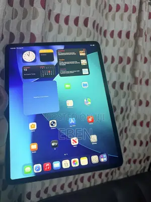 Apple iPad Pro 12.9 (2020) 256 GB Gray