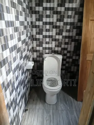 Pipe Leakages,W.C Fixing,Basin Fixing,Shower Fixing,kitchen Sink