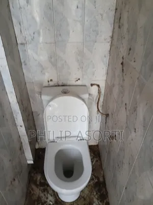 Pipe Leakages,W.C Fixing,Basin Fixing,Shower Fixing,kitchen Sink