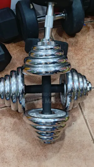 Best Adjustable Dumbbell 25kg