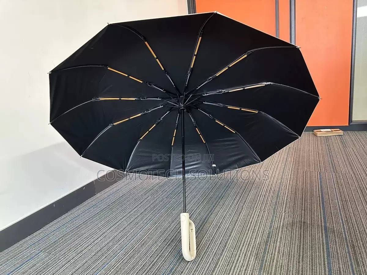Automatic Umbrella