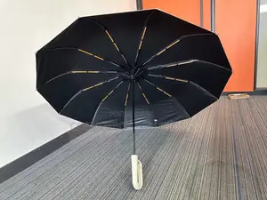 Automatic Umbrella