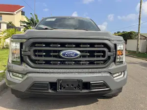 Ford F-150 XLT 2021 Gray