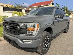 Ford F-150 XLT 2021 Gray