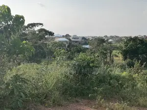 Real Estate