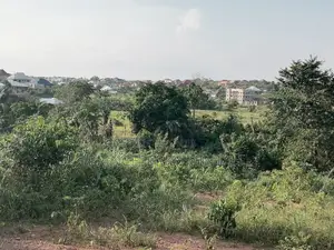 Real Estate