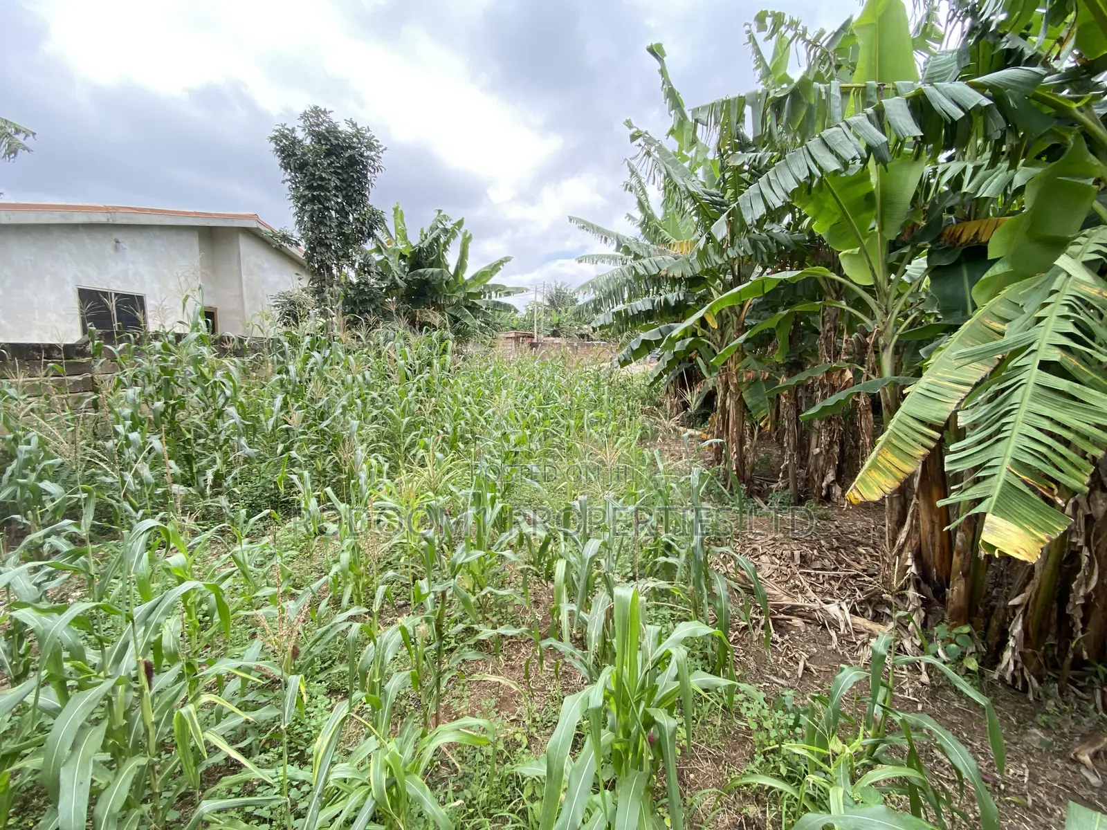 Plot of Land 140x70 Asofan Soja Line