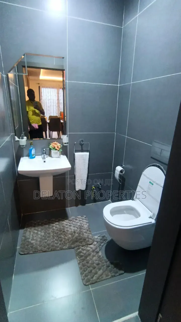 Furnished 2bdrm Apartment in Tseaddo for rent