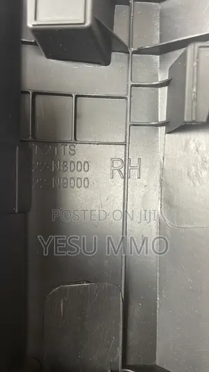 Hyundai Tucson 2024 Door Moulding