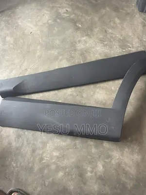 Hyundai Tucson 2024 Door Moulding
