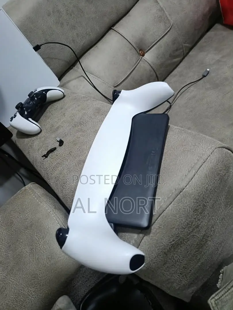 Sony PlayStation Portal Remote Player