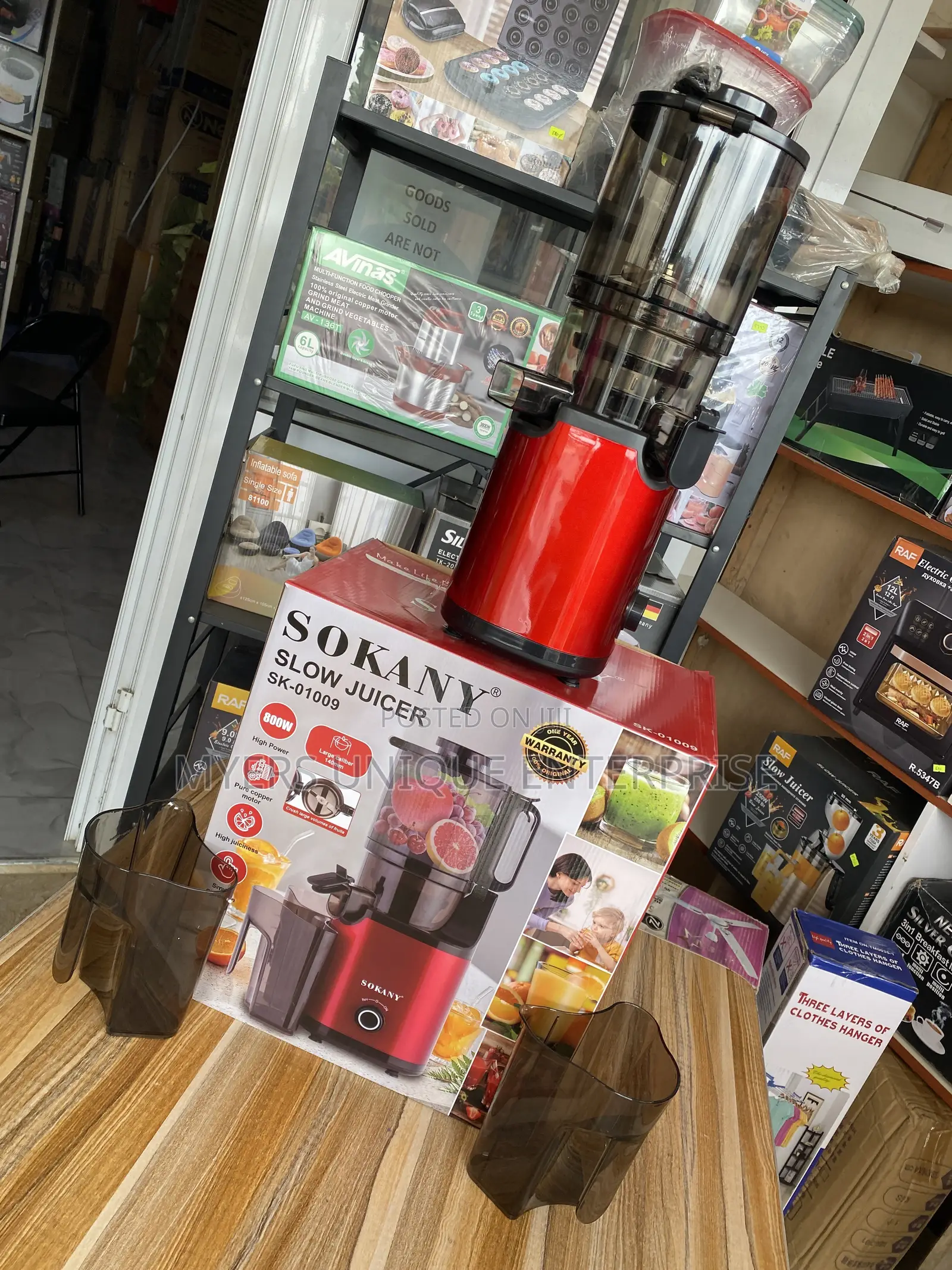800W Slow Juicer Machine - High Power Copper Motor