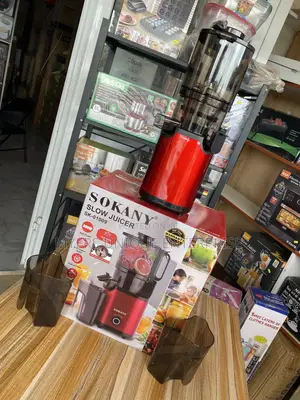 800W Slow Juicer Machine - High Power Copper Motor