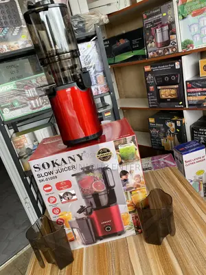 800W Slow Juicer Machine - High Power Copper Motor