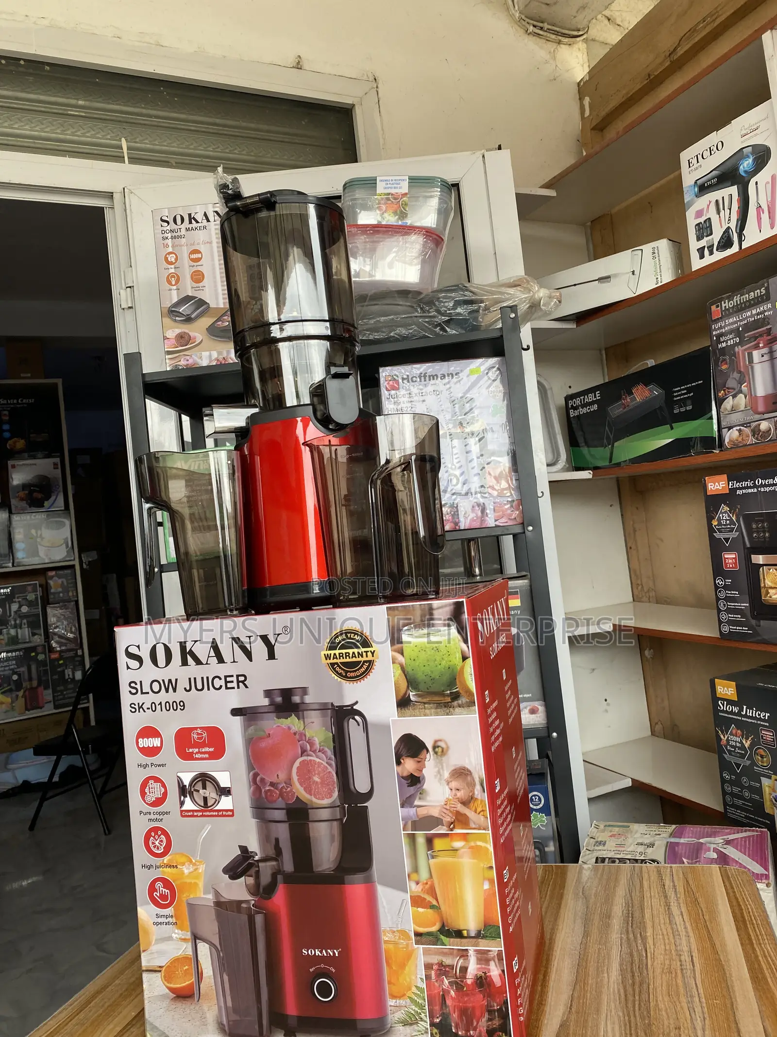 Whole Fruit Vegetable Slow Masticating Juicer