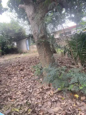 Land at Ashongman