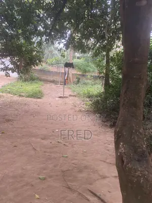 Land at Ashongman