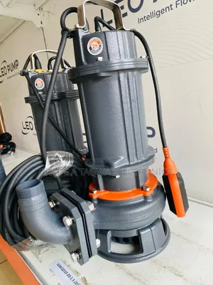 Leo 2-Horsepower Sewage Water Pump