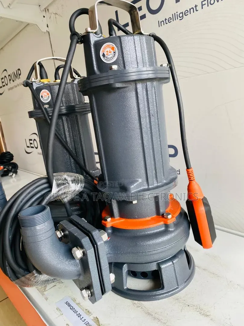 Leo 2-Horsepower Sewage Water Pump