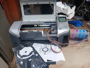 Epson Stylus Photo R300