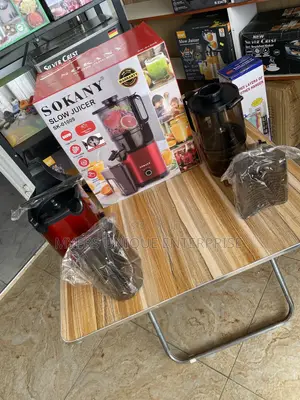 Commercial Home Slow Juicer Machine