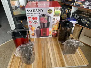 Commercial Home Slow Juicer Machine
