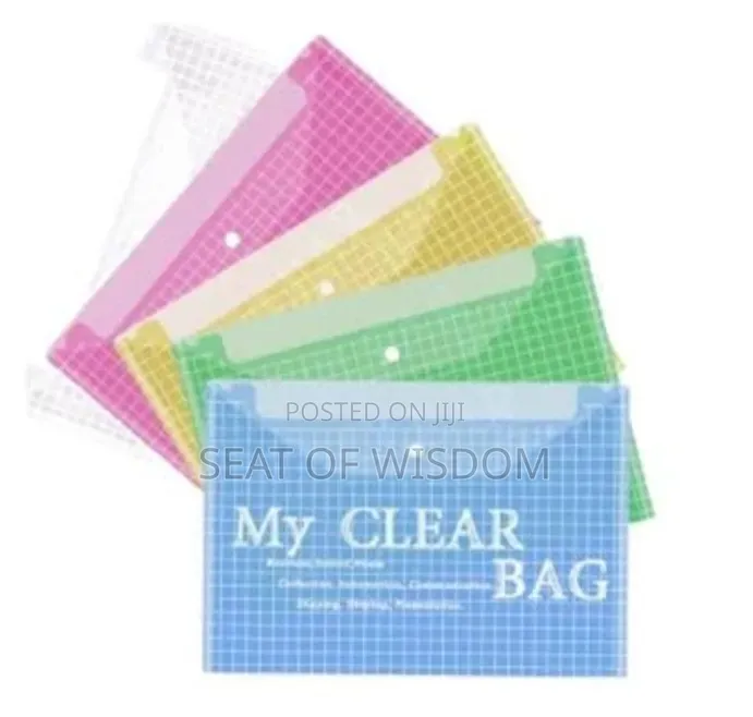 Clear Bag /Clear Button Bag
