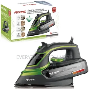 Electric Steam Iron