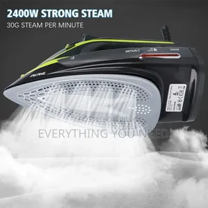 Electric Steam Iron