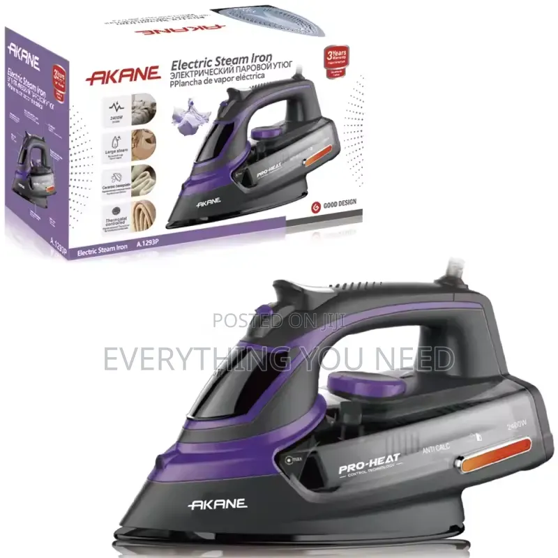 Electric Steam Iron
