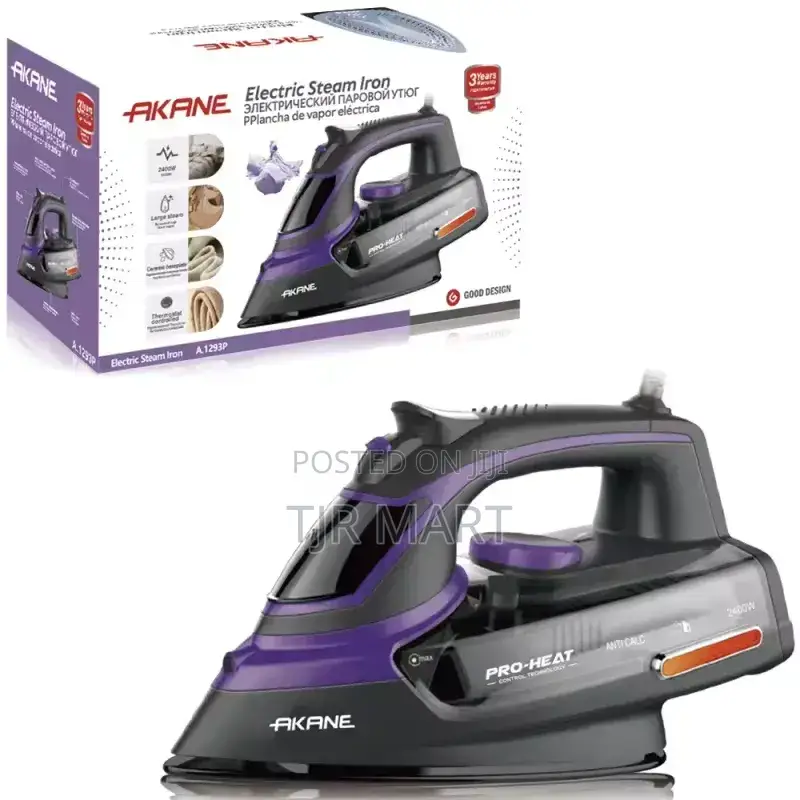 Electric Steam Iron