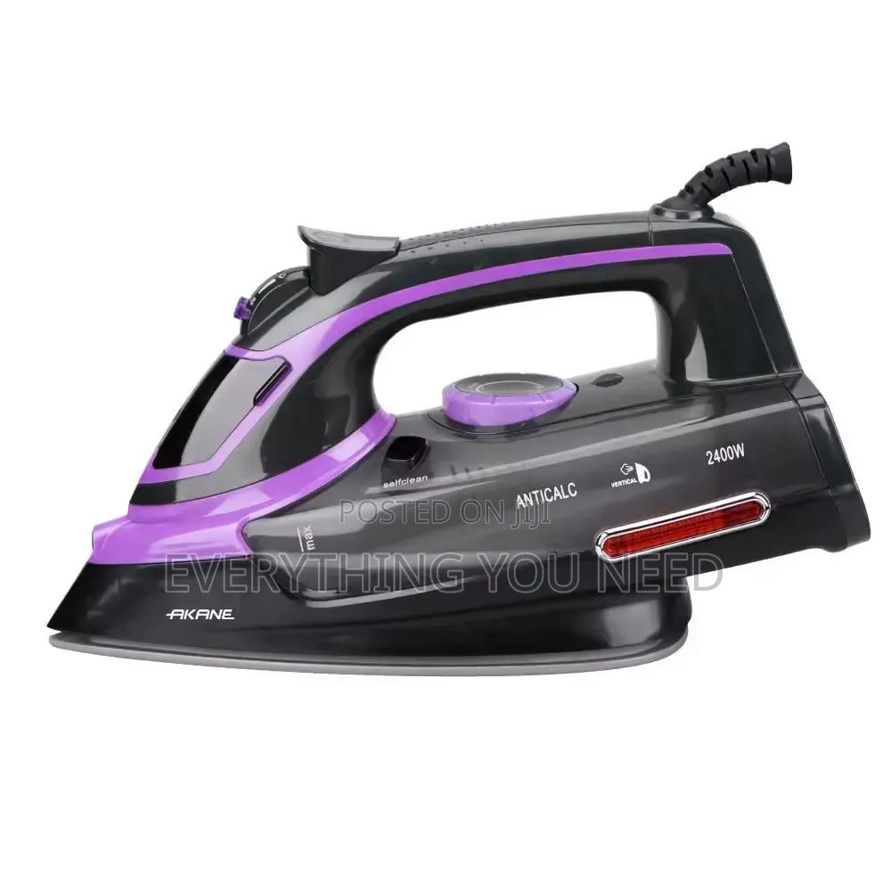 Electric Steam Iron
