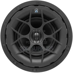 Best Budget Origin Accoustics D61 Director Series Ceiling Speaker USA
