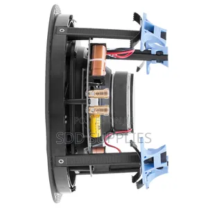 Best Budget Origin Accoustics D61 Director Series Ceiling Speaker USA