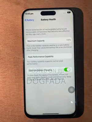 Apple iPhone 15 Pro Max 512 GB Gray