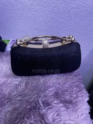 Ladies Luxury Handbag. Stylish and Elegant