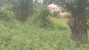 Plot of Land Is for Sale at Asante Agona)