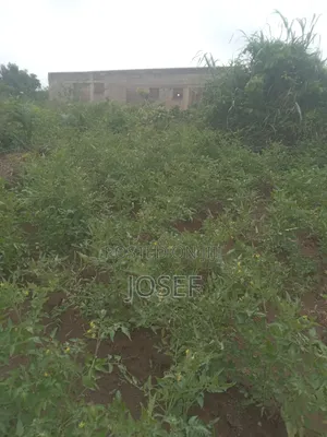 Plot of Land Is for Sale at Asante Agona)