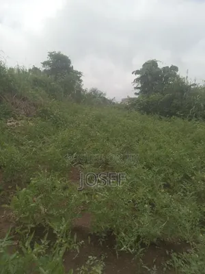 Plot of Land Is for Sale at Asante Agona)