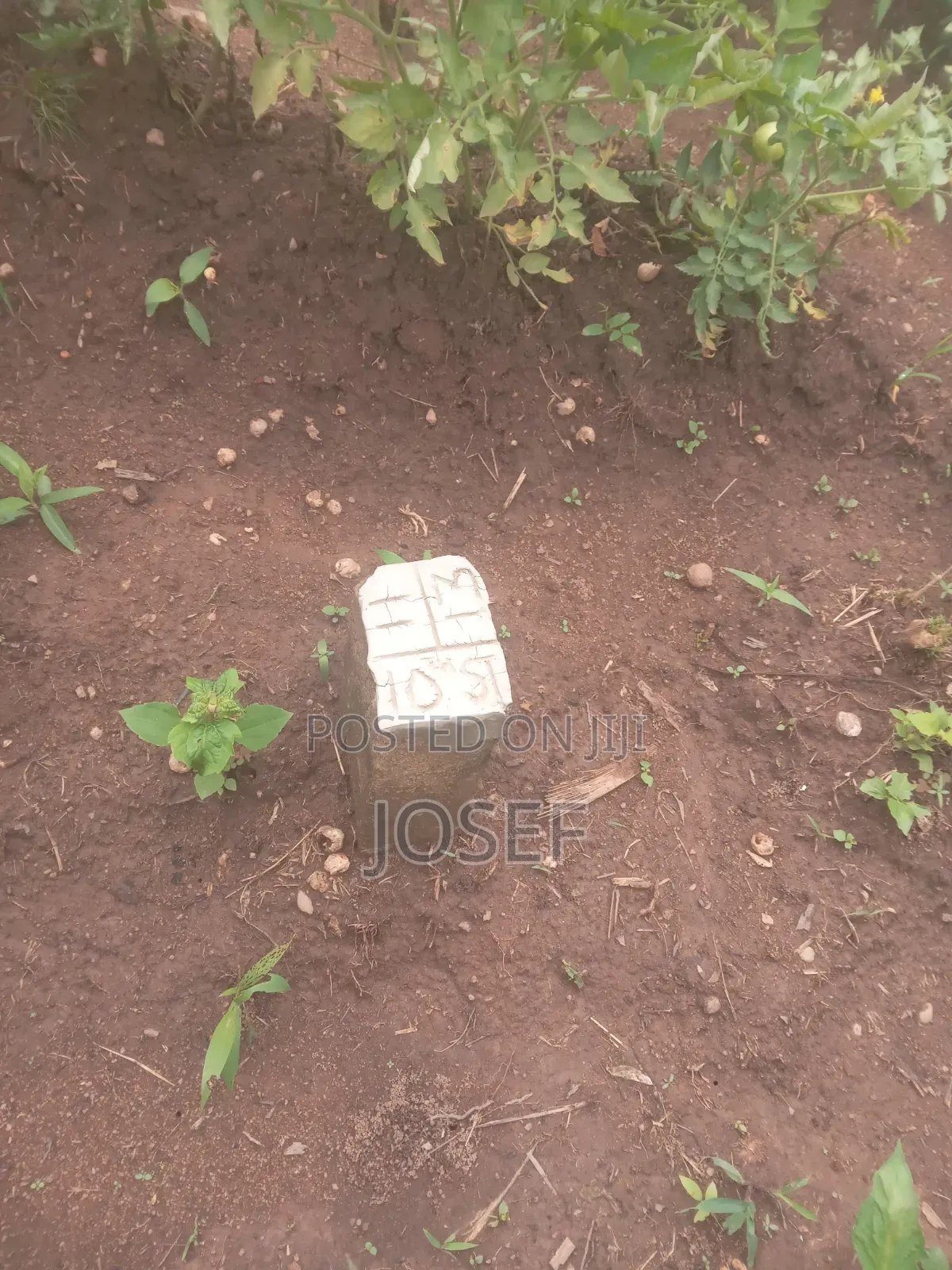 Plot of Land Is for Sale at Asante Agona)